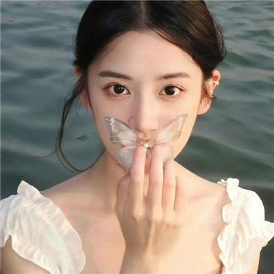 暴力的种子