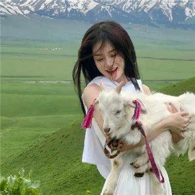 蛛丝杀迹